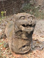 by krodin, Views[358]