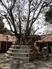 by krodin, Views[440]