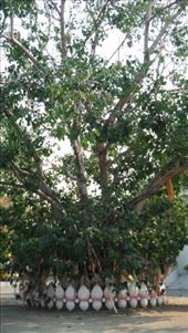 by krodin, Views[364]