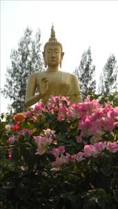 by krodin, Views[361]