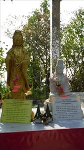 by krodin, Views[378]