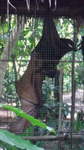 by krodin, Views[388]