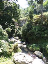 by krodin, Views[397]