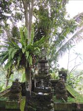 by krodin, Views[403]