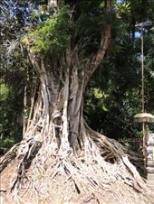 by krodin, Views[152]