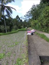 by krodin, Views[164]