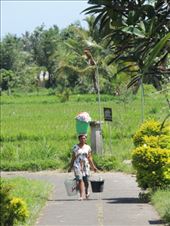 by krodin, Views[168]