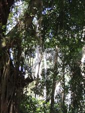 by krodin, Views[209]