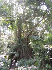 by krodin, Views[277]