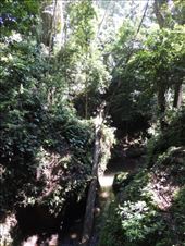 by krodin, Views[303]