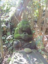 by krodin, Views[302]