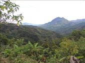 by krodin, Views[431]