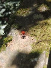 by krodin, Views[216]