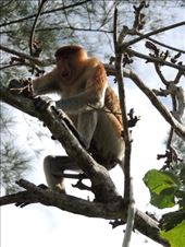 by krodin, Views[358]