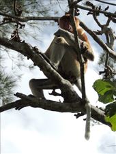 by krodin, Views[348]