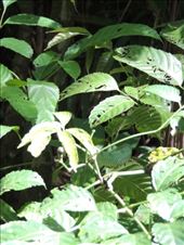 by krodin, Views[385]