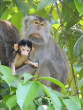 by krodin, Views[364]