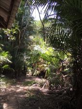 by krodin, Views[380]