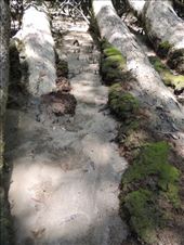 by krodin, Views[259]