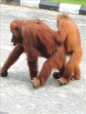 by krodin, Views[410]