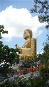 by krodin, Views[373]