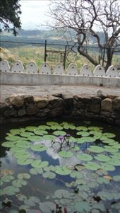 by krodin, Views[375]