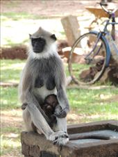 by krodin, Views[375]