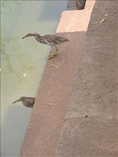 by krodin, Views[402]