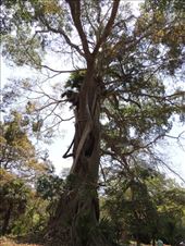 by krodin, Views[375]