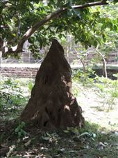 by krodin, Views[393]