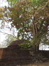 by krodin, Views[404]