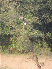 by krodin, Views[175]