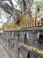 by krodin, Views[397]