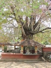 by krodin, Views[433]