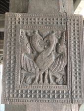 by krodin, Views[396]