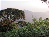 by krodin, Views[469]