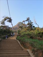 by krodin, Views[468]