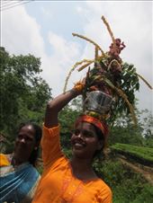 by krodin, Views[496]