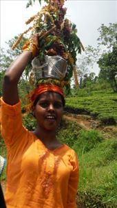 by krodin, Views[450]