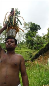 by krodin, Views[395]