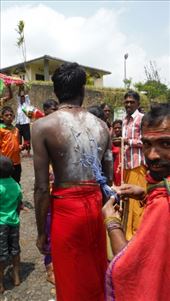 by krodin, Views[402]