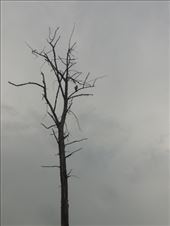 by krodin, Views[328]