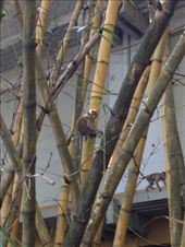 by krodin, Views[461]