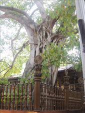 by krodin, Views[407]