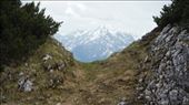by krodin, Views[393]