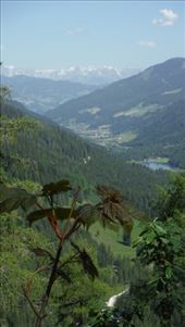 by krodin, Views[382]