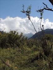 by krodin, Views[431]