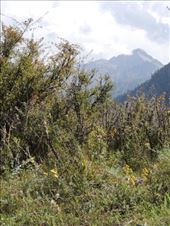 by krodin, Views[391]