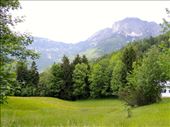 by krodin, Views[443]