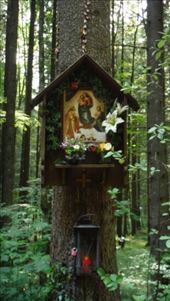 by krodin, Views[274]